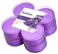 Bolsius Maxilicht Geur 8 Stuks True Scents 117x117x45 Lavender