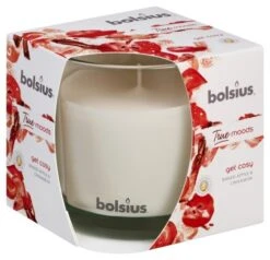 Bolsius Geurglas 95/95 True Moods 97x97x97 Get Cosy