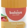 Bolsius True Scents Stompkaars 120/58 Mango -Bolsius 101925260110