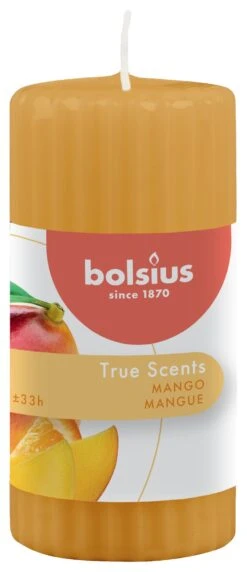 Bolsius True Scents Stompkaars 120/58 Mango