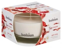 Bolsius Geurglas 63/90 True Moods 92x92x64 Get Cosy