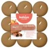 Bolsius True Scents Geurtheelicht Bricks 18 Apple Cinnamon