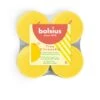 Bolsius True Citronella Maxilicht 8 Stuks -Bolsius 103625221832