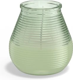 Bolsius - 6 Geurkaarsen - Citronella - Buitenkaars - Groen -Bolsius 1100x1200