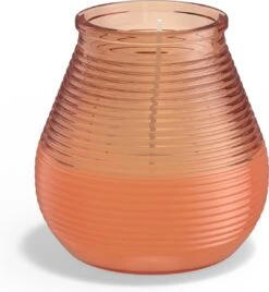 Bolsius - 6 Geurkaarsen - Citronella - Buitenkaars - Koraal -Bolsius 1104x1200