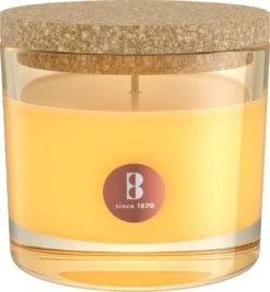 Bolsius - True Joy - 6 Geurkaarsen Met Kurken Deksel - Spring Blossom - Geel - Voordeelverpakking - Geurkaars - Paasdecoratie -Bolsius 1109x1200