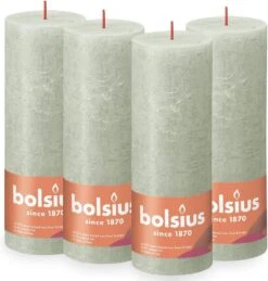 Bolsius - Rustieke Kaars - 4 Stuks - Groen - 19cm - Paasdecoratie