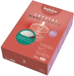 12 Stuks Bolsius Witte (8 Uur) Maxi Waxinelichtjes In Transparante Clear Cups -Bolsius 1173x1200 1