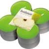 Bolsius - Maxi Theelicht - Green Apple 1 Bolsius - Maxi Theelicht - Green Apple -Bolsius 1200x1083