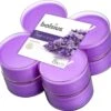 Bolsius Maxi Waxinelichtjes True Scents Lavendel 8 Stuks -Bolsius 1200x1123