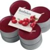 Bolsius - Maxi Theelicht - Wild Cranberry -Bolsius 1200x1124