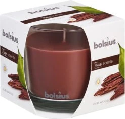Bolsius 2 Stuks Geurglas 95/95 True Scents Oud Wood