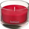 Bolsius Geurglas 63/90 True Scents Pomegranate 1 Bolsius Geurglas 63/90 True Scents Pomegranate -Bolsius 1200x1161