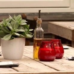 6 Stuks Bolsius Twilights Fuchsia Glazen Kaarsen 104/99 (70 Uur) -Bolsius 1200x1200 24