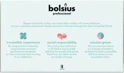 Bolsius Dinerkaarsen Ivoor -Bolsius 1200x711 1