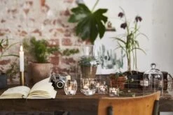 Bolsius - Theelichten - 100 Stuks -Bolsius 1200x800 3