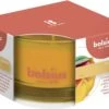 Bolsius Geurglas 50/80 True Scents Mango 2 Bolsius Geurglas 50/80 True Scents Mango -Bolsius 1200x849