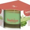 Bolsius Geurglas 50/80 True Scents Green Tea 1 Bolsius Geurglas 50/80 True Scents Green Tea -Bolsius 1200x856