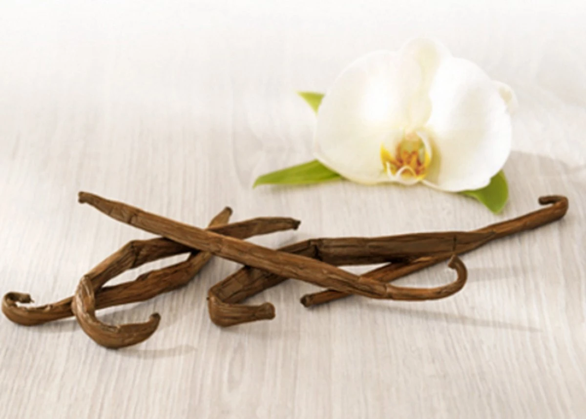 Bolsius Geurkaarsen Geribbeld 6 St 120x58 Mm Vanille 5 Bolsius Geurkaarsen Geribbeld 6 St 120x58 Mm Vanille - Afbeelding 3