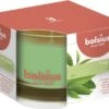 Bolsius Geurglas 63/90 True Scents Green Tea -Bolsius 1200x906 3