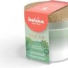 Bolsius Geurglas Met Kurk 66/83 True Joy Botanic Freshness - Zonder Palmolie - Vegan Wax 1 Bolsius Geurglas Met Kurk 66/83 True Joy Botanic Freshness - Zonder Palmolie - Vegan Wax -Bolsius 1200x950 1