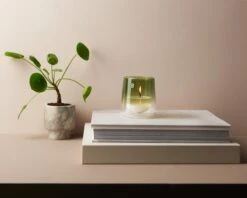 Bolsius Geurkaars Clean Light Starterkit Gardenia / Fig -Bolsius 1200x960 3