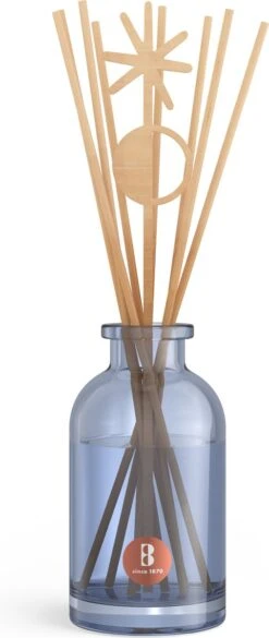 Bolsius - 2 X Giftset - Geurstokjes & Geurglas - True Joy - Secret Forest -Bolsius 507x1200 1