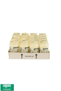 Bolsius Herdenkingslicht Nr 3 Kompo Transparant Tray Van 20 Stuks -Bolsius 6187a533c14658ff312461d68f0f794f