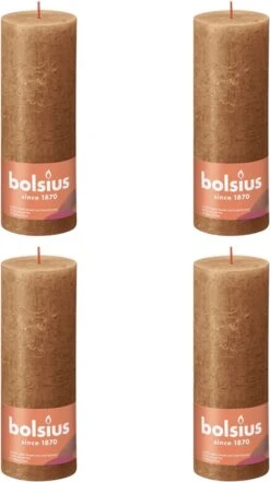Bolsius Stompkaarsen Shine 4 St Rustiek 190x68 Mm Spice Brown