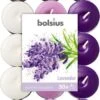 Bolsius Geurkaarsen Theelicht Lavender Paars/wit 30 Stuks