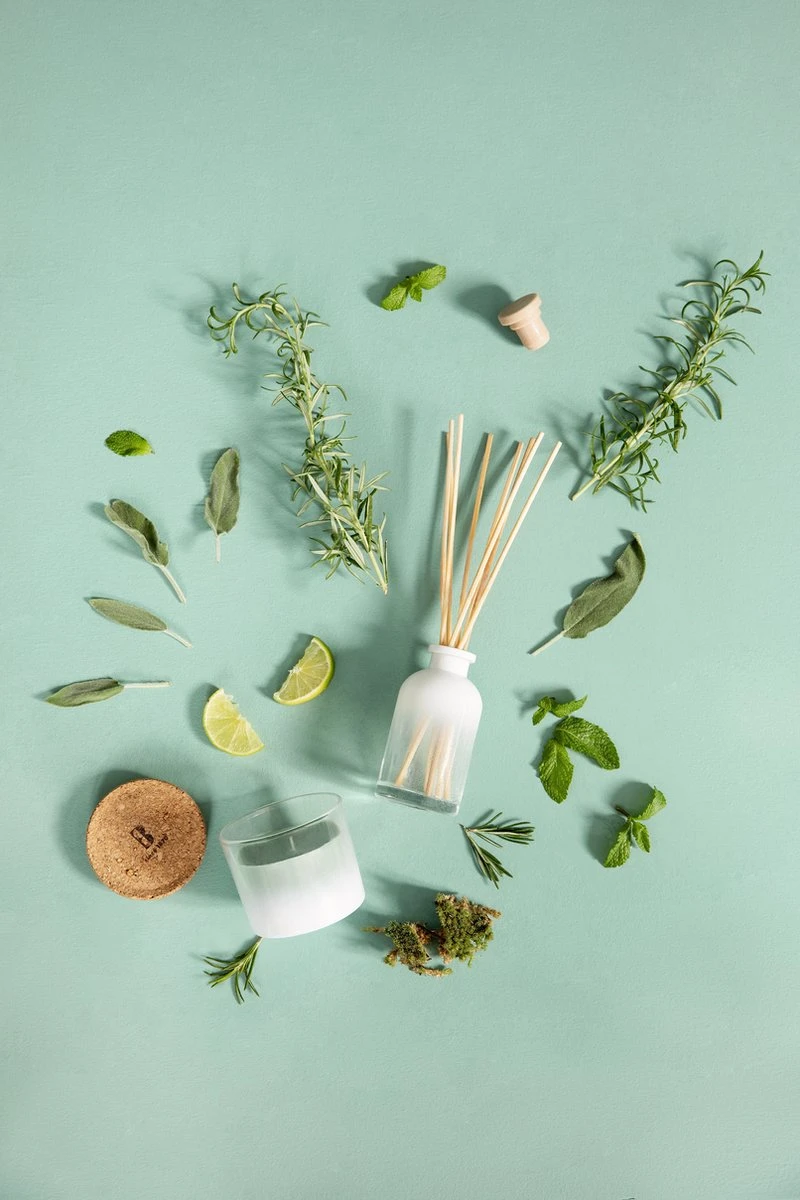 Bolsius - True Joy - 6 Geurkaarsen Met Kurken Deksel - Botanic Freshness - Groen - Voordeelverpakking - Geurkaars - Paasdecoratie 4 Bolsius - True Joy - 6 Geurkaarsen Met Kurken Deksel - Botanic Freshness - Groen - Voordeelverpakking - Geurkaars - Paasdecoratie - Afbeelding 2