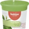 Bolsius - Geurvotive 53/45 True Scents Green Tea Pak A 12 Stuks