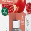 Bolsius Geurstokjes True Scents Pomegranate 60 Ml 2 Bolsius Geurstokjes True Scents Pomegranate 60 Ml -Bolsius 8717847067661 0