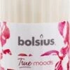 Bolsius Geurkaars True Moods Pure Romance Wit 33 Uur D 5,8 H 12 Cm 1 Bolsius Geurkaars True Moods Pure Romance Wit 33 Uur D 5,8 H 12 Cm -Bolsius 8717847138705 1