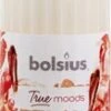 Bolsius Geurkaars True Moods Get Cosy Wit 33 Uur D 5,8 H 12 Cm -Bolsius 8717847138729 1