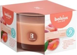 Bolsius Geurkaars True Scents Fruitig Oranje 24 Uur D 9 H 6,3 Cm