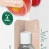 Bolsius Geurstokjes True Scents Peach 60 Ml -Bolsius 8717847184597 0