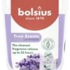 Bolsius Geurkaars True Scents Lavender Paars 25 Uur D 8,4 H 5,2 Cm -Bolsius 8717847188397 0