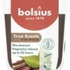 Bolsius Geurkaars True Scents Oud Wood Bruin 25 Uur D 7,3 H 8,1 Cm 2 Bolsius Geurkaars True Scents Oud Wood Bruin 25 Uur D 7,3 H 8,1 Cm -Bolsius 8717847188458 0
