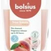 Bolsius Geurkaars True Scents Peach Oranje 45 Uur D 8,5 H 9 Cm -Bolsius 8717847190826 0
