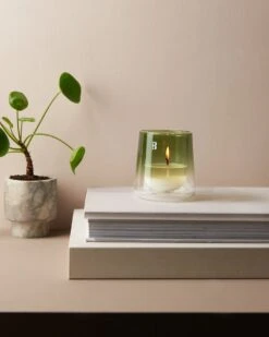 Bolsius - CleanLight - 12 Gegeurde Navullingen - Gardenia & Fig - Navulbare Geurkaarsen -Bolsius 960x1200 6