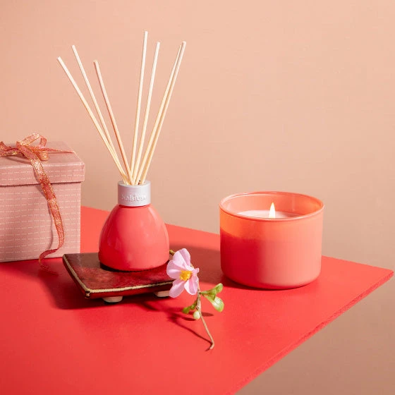 Bolsius True Love Geurkaars Sunkissed Orange And White Flowers 9.2x6.6 Cm 5 Bolsius True Love Geurkaars Sunkissed Orange And White Flowers 9.2x6.6 Cm - Afbeelding 3