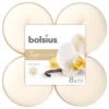 Bolsius True Scents Maxilichten Vanille 8 Stuks -Bolsius bolsius geurtheelichten true scents vanille 117 cm 8 stuks 479770 1603281900